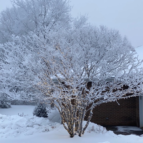 Meet your Posher, Jose j - Picture 1 of 1